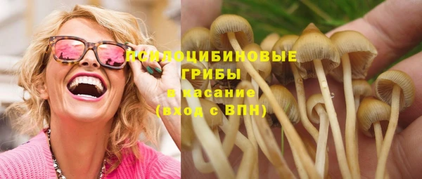 дурь Алзамай