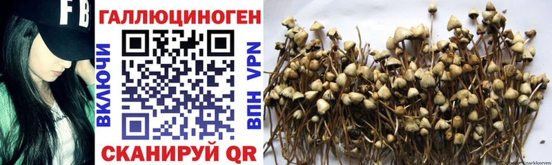 Галлюциногенные грибы ЛСД  shop состав  Долинск 
